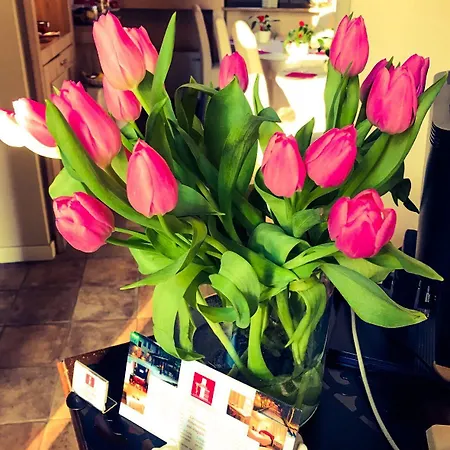 La Maison De Vi Carpaneto Piacentino