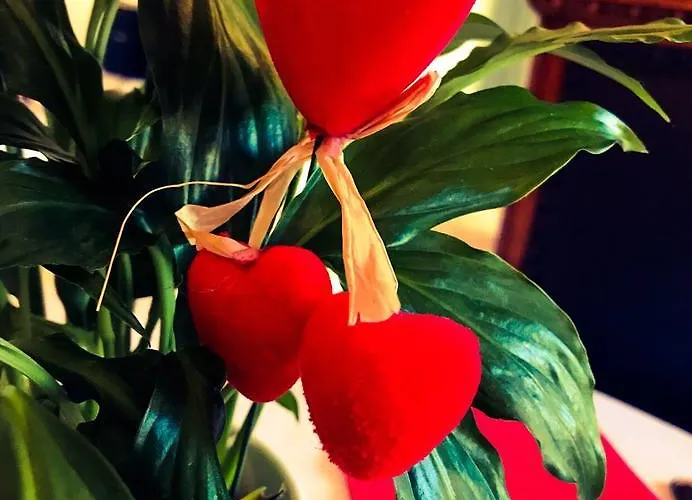 Отель La Maison De Vi Carpaneto Piacentino