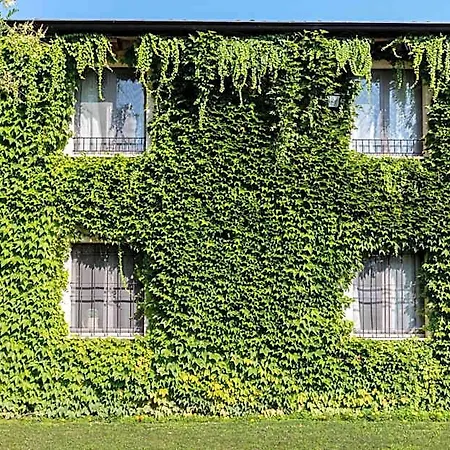 La Maison De Vi Carpaneto Piacentino