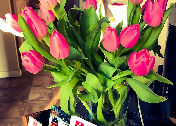 La Maison De Vi Carpaneto Piacentino