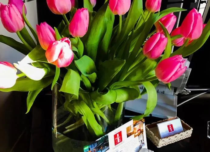 Hotel La Maison De Vi